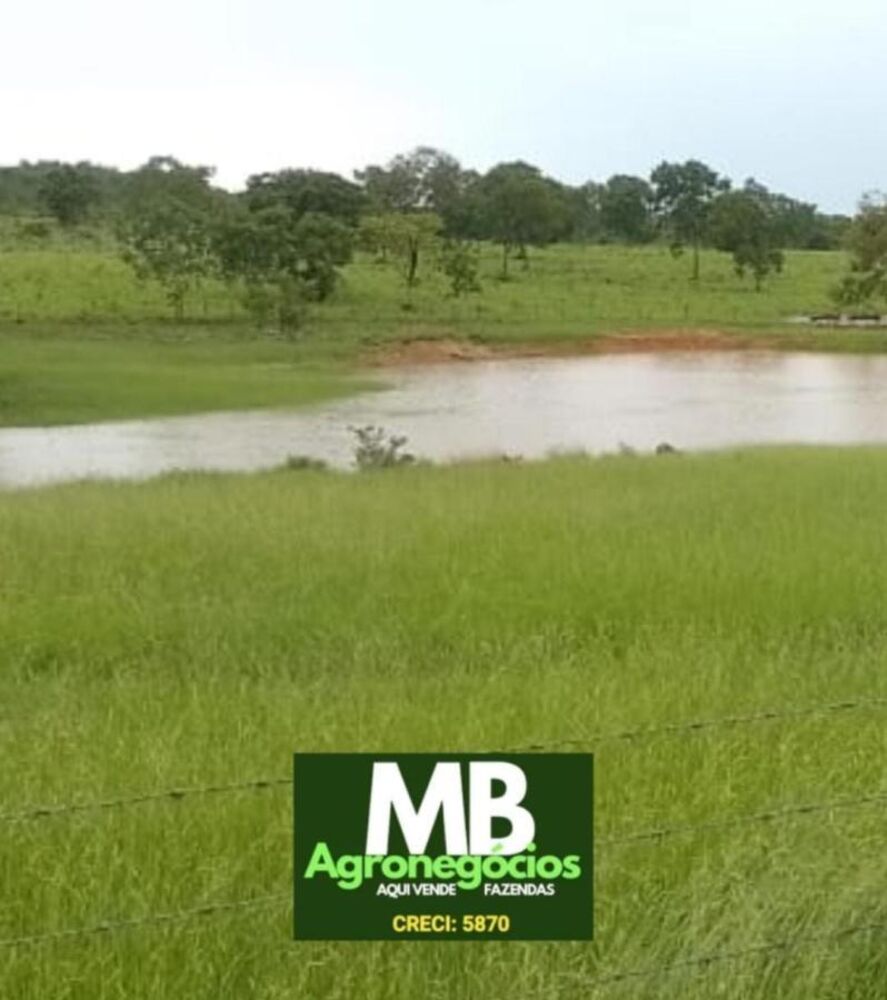 Fazenda, 976 hectares - Foto 2