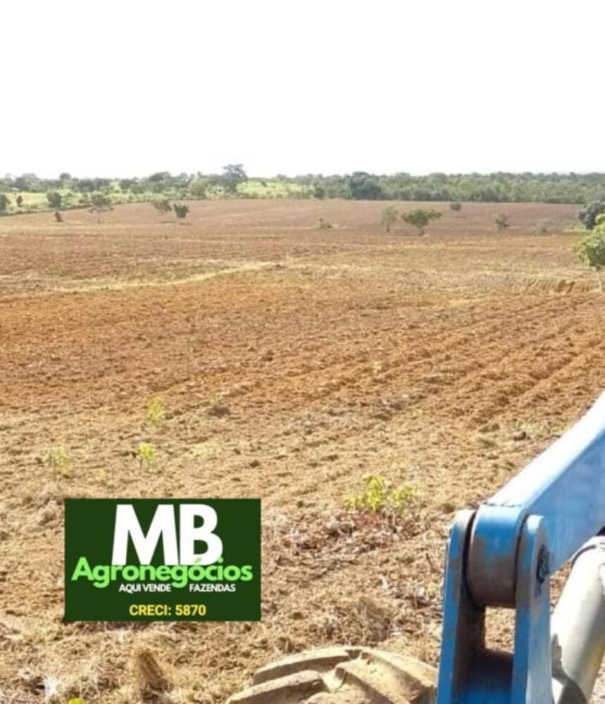 Fazenda, 976 hectares - Foto 3