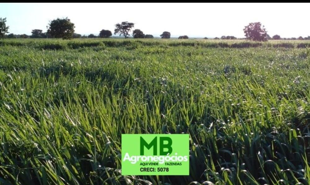 Fazenda à venda, 4170000m² - Foto 1