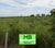 Fazenda, 417 hectares - Foto 4