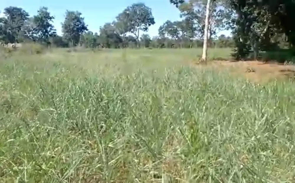 Fazenda, 960 hectares - Foto 18