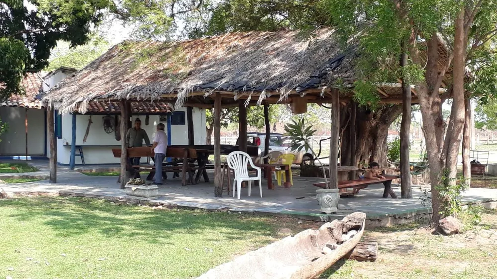 Fazenda, 960 hectares - Foto 12