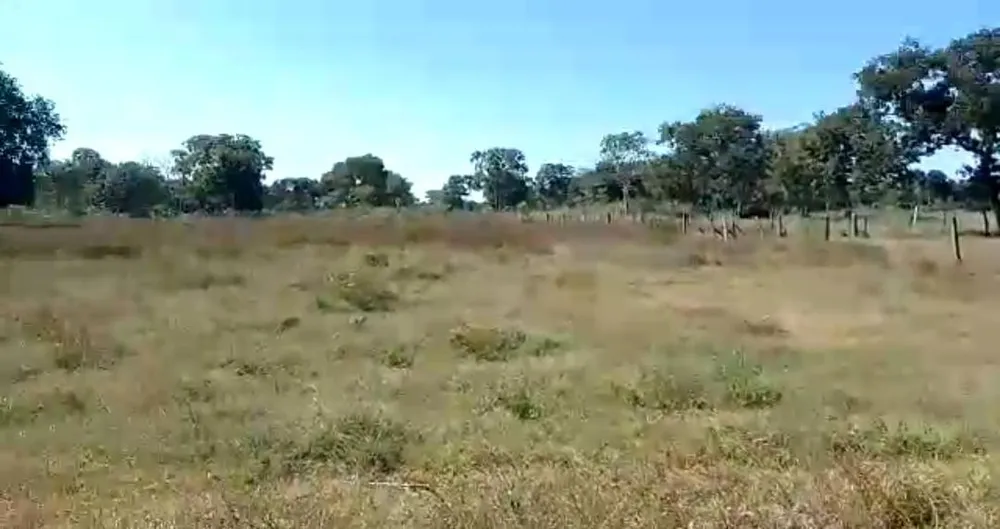 Fazenda, 960 hectares - Foto 14