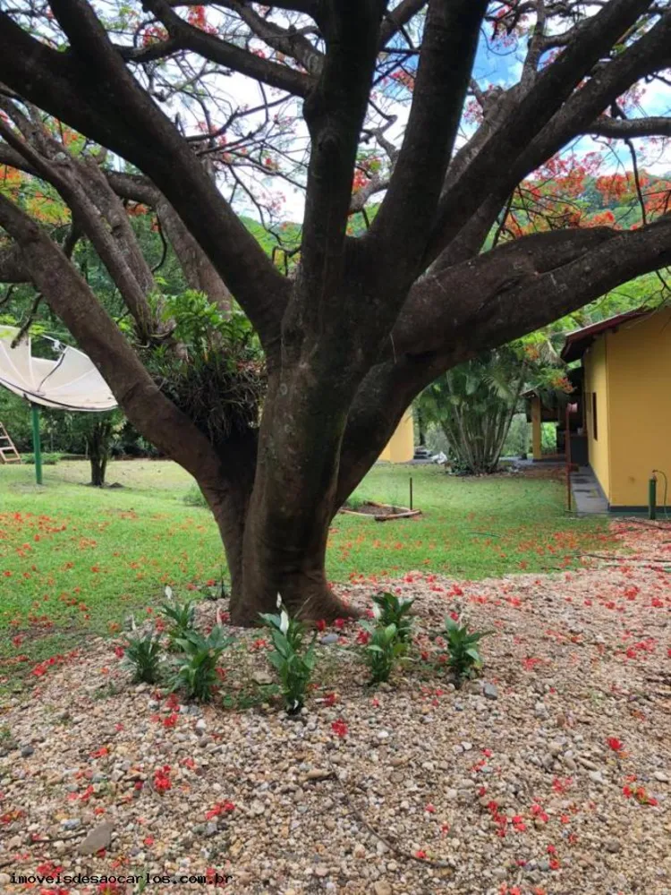 Sítio, 7 quartos, 5 hectares - Foto 8
