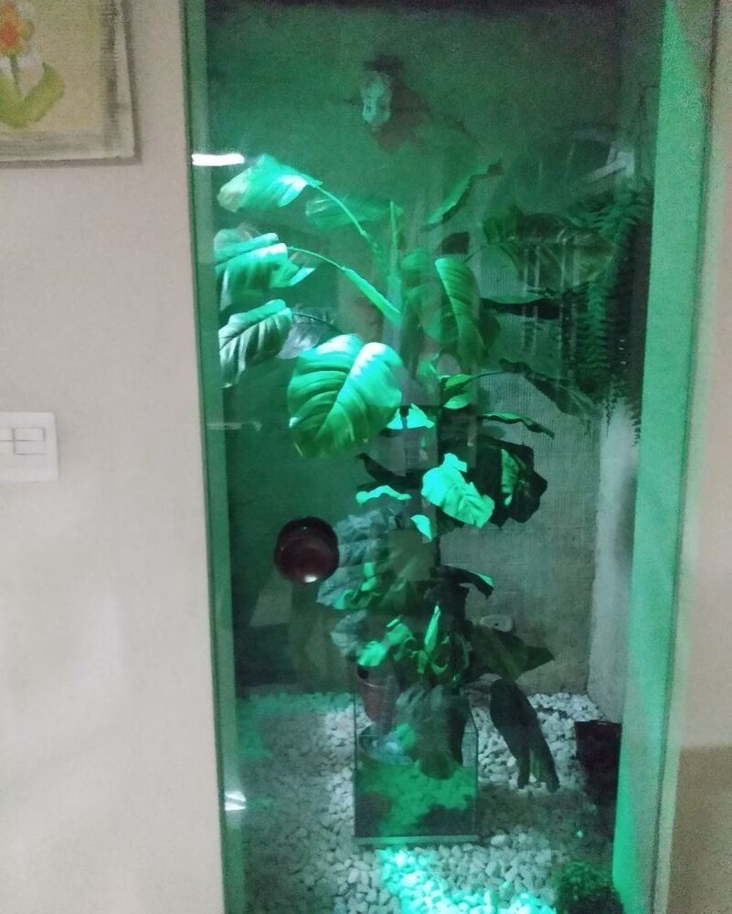 Casa, 4 quartos, 200 m² - Foto 3