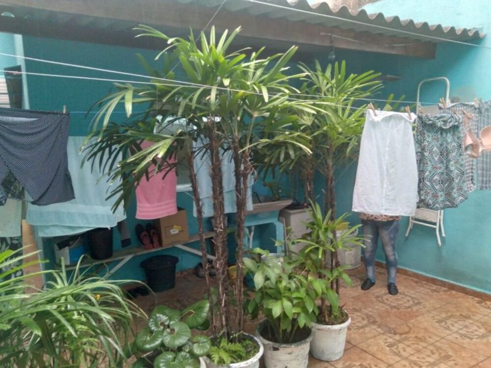 Casa, 4 quartos, 150 m² - Foto 9
