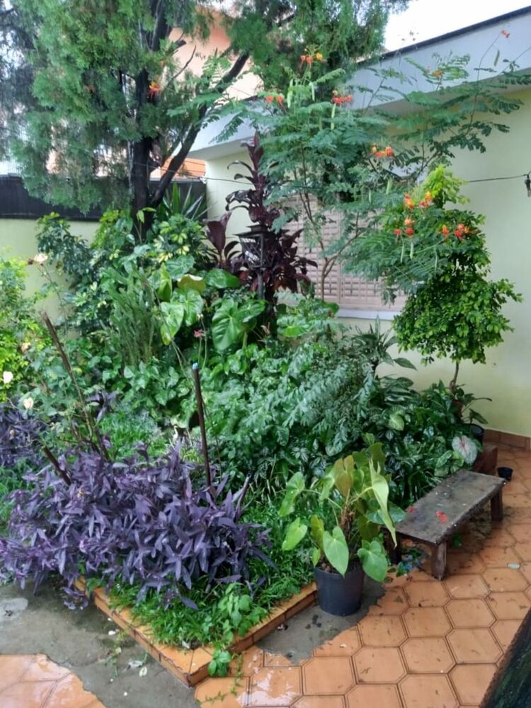 Casa, 2 quartos - Foto 12