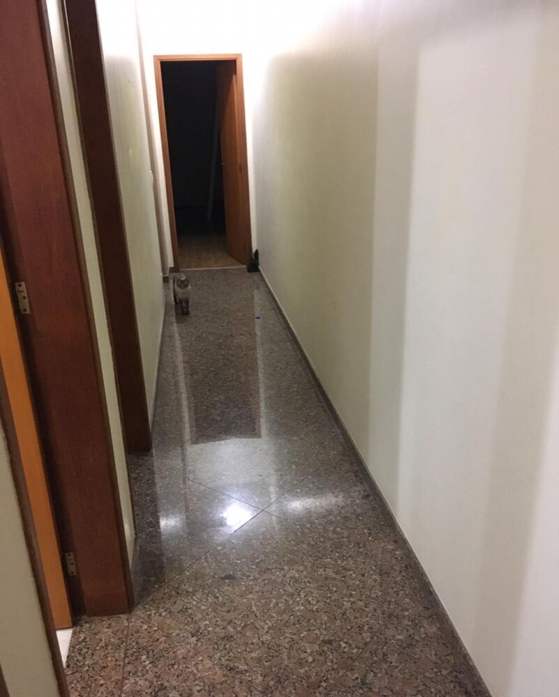 Casa, 3 quartos, 125 m² - Foto 26