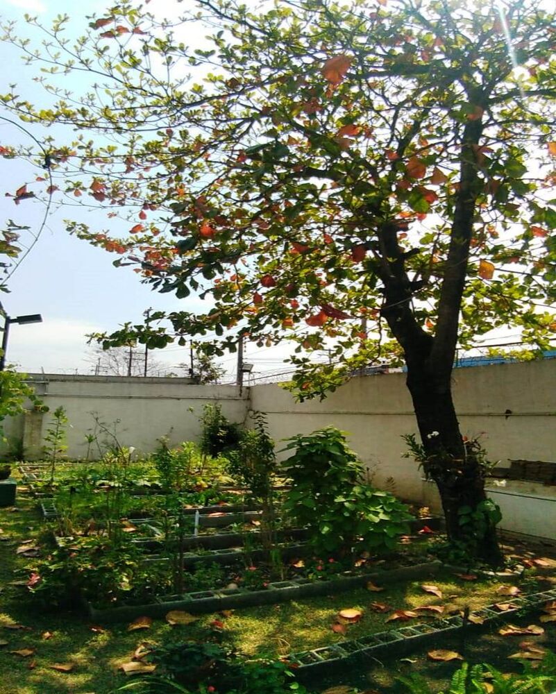 Apartamento, 2 quartos, 47 m² - Foto 3
