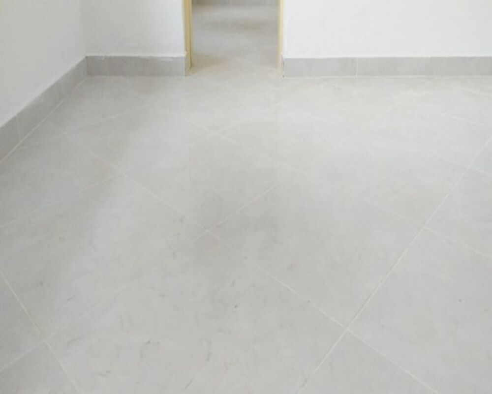 Casa à venda com 6 quartos, 500m² - Foto 5