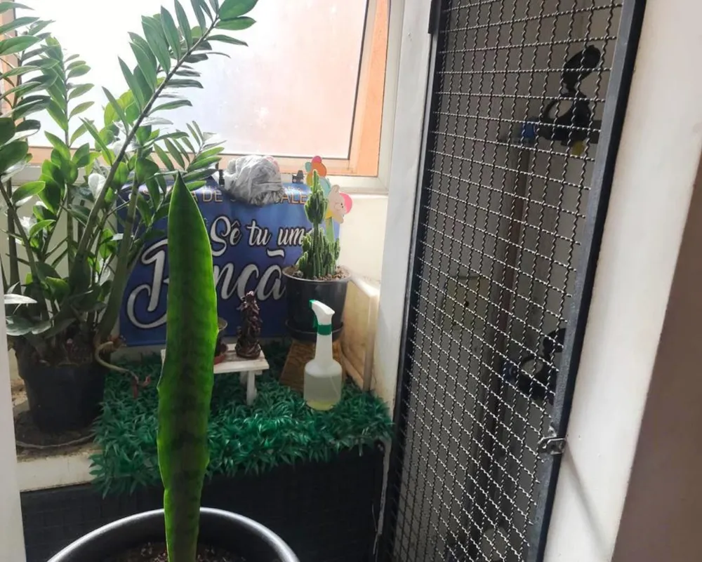 Apartamento, 2 quartos, 49 m² - Foto 11
