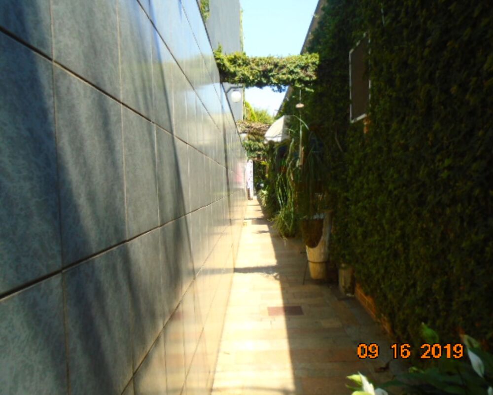 Casa, 3 quartos - Foto 12