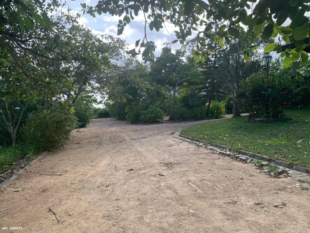 Fazenda, 310 hectares - Foto 1
