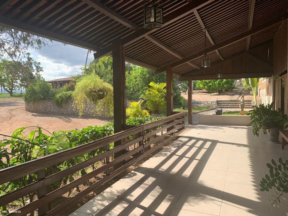 Fazenda, 310 hectares - Foto 4