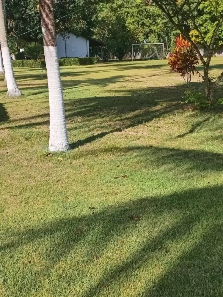 Terreno, 5 hectares - Foto 2