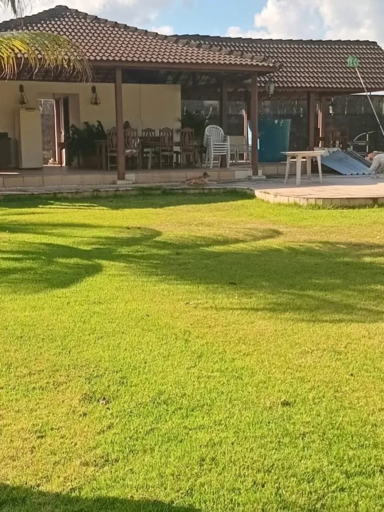 Terreno, 5 hectares - Foto 4