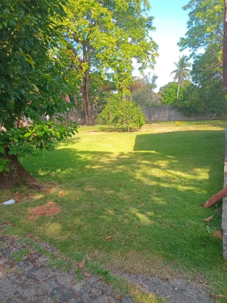 Terreno, 5 hectares - Foto 1