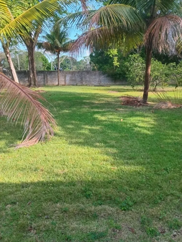 Terreno, 5 hectares - Foto 3