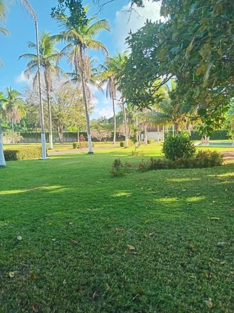 Terreno, 5 hectares - Foto 2
