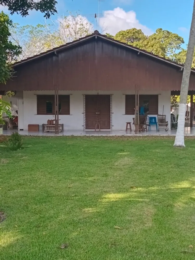 Terreno, 5 hectares - Foto 3