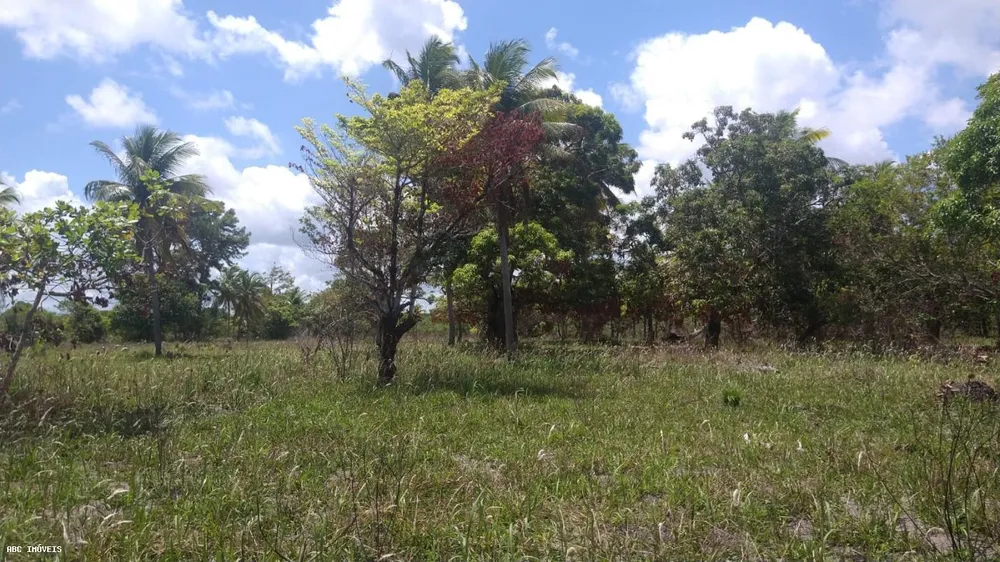 Loteamento e Condomínio, 36 hectares - Foto 11