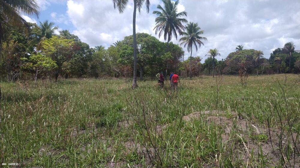 Loteamento e Condomínio, 36 hectares - Foto 7