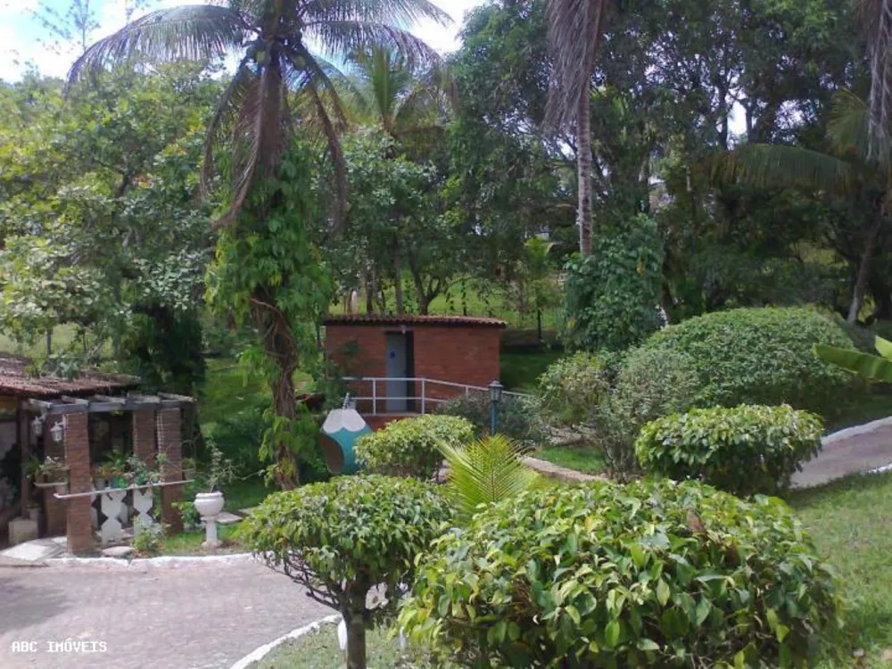 Chácara, 15 quartos, 5 hectares - Foto 2