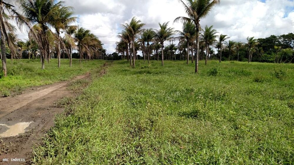 Terreno à venda com 2 quartos, 590000m² - Foto 2