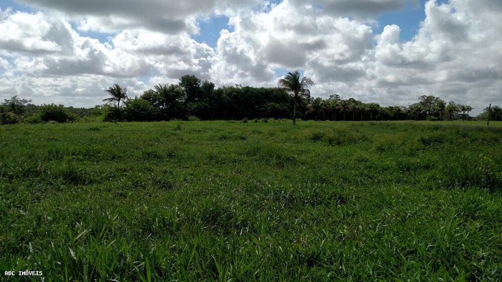Terreno à venda com 2 quartos, 590000m² - Foto 3