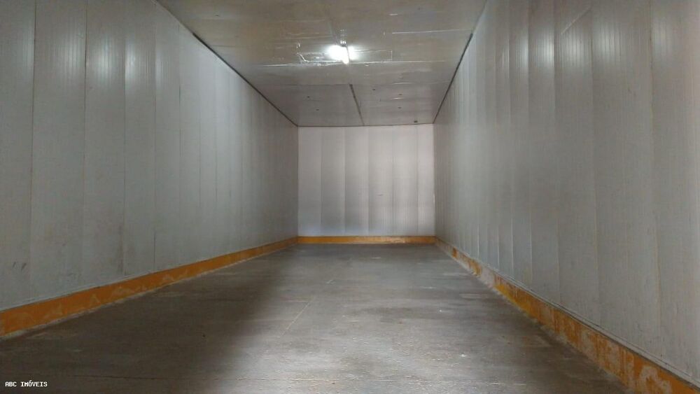 Depósito-Galpão, 5000 m² - Foto 3