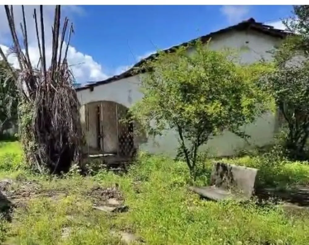 Casa, 4 quartos, 180 m² - Foto 4
