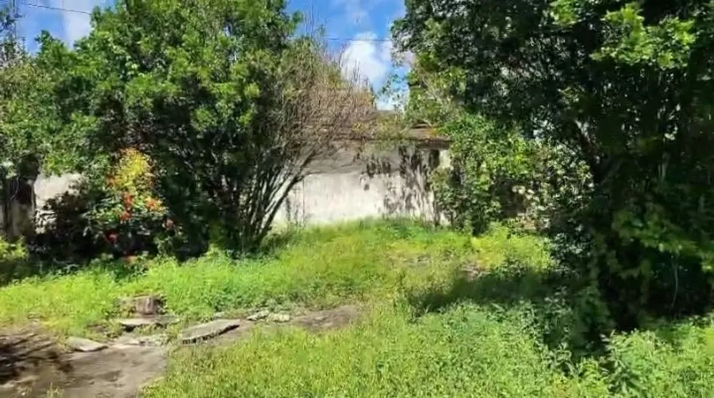 Casa, 4 quartos, 180 m² - Foto 3