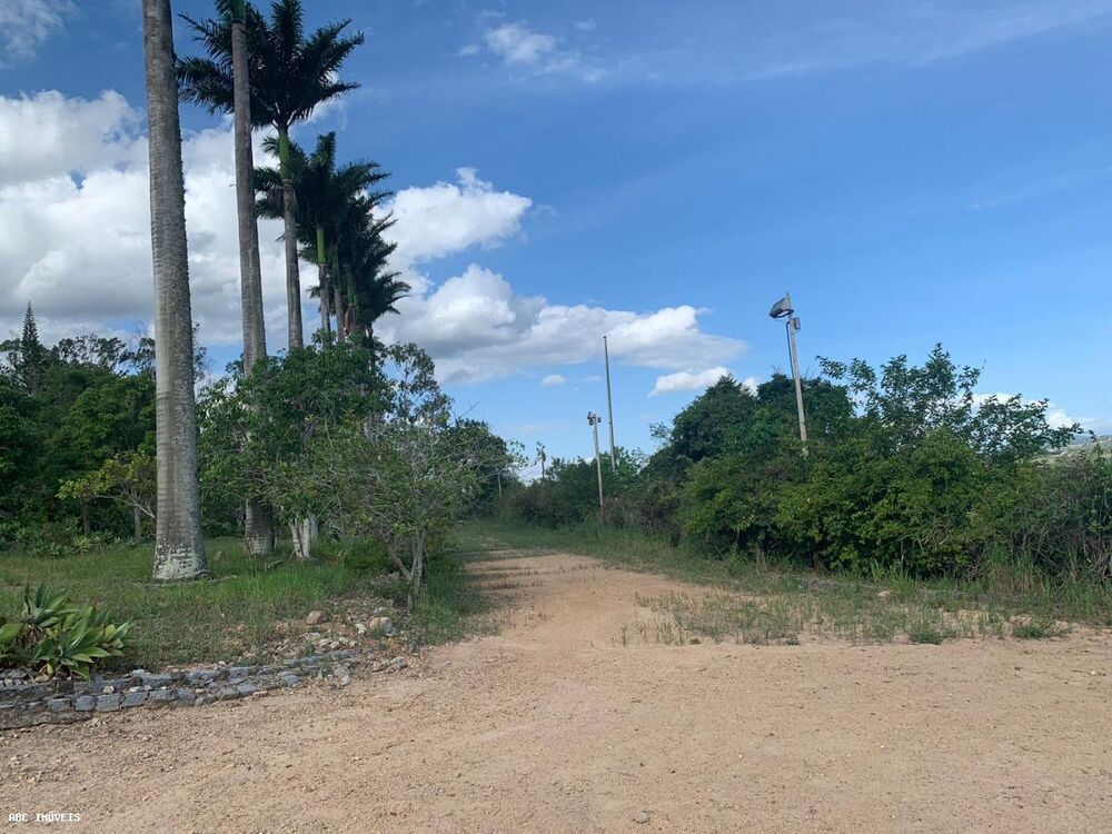 Terreno, 4 hectares - Foto 4