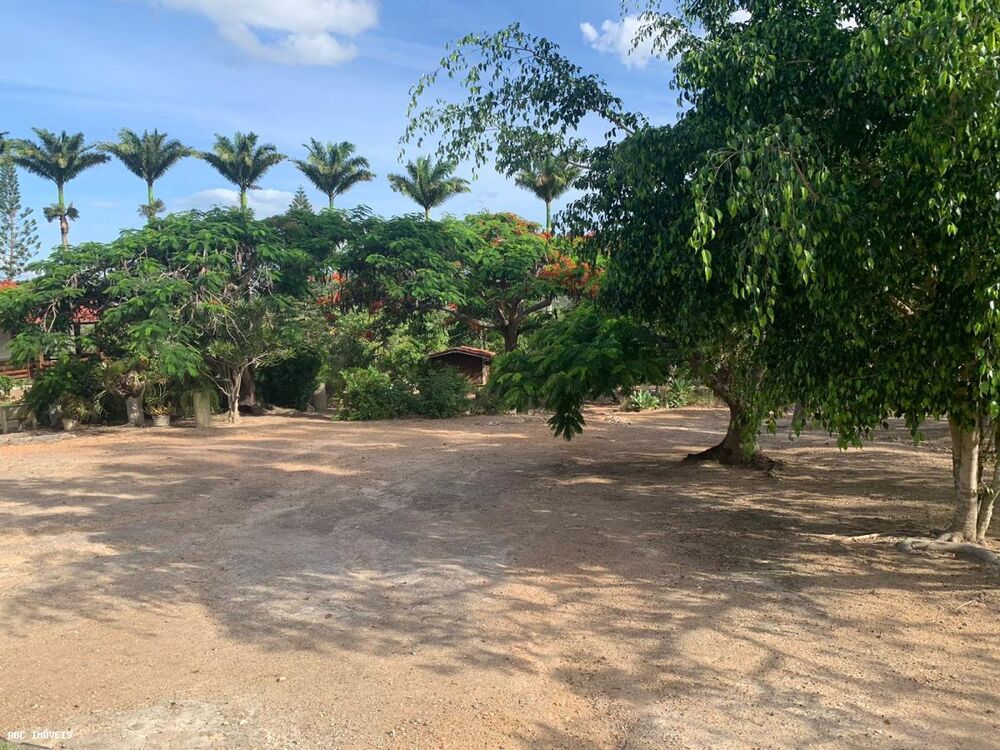 Terreno, 4 hectares - Foto 1