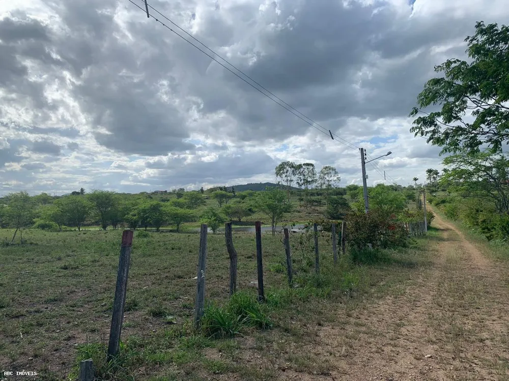 Terreno, 4 hectares - Foto 4