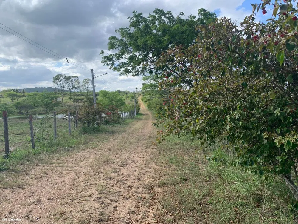 Terreno, 4 hectares - Foto 1