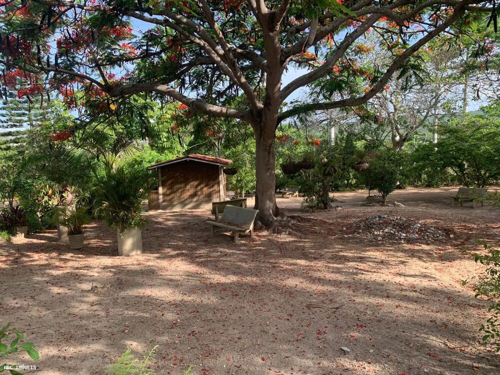 Terreno, 4 hectares - Foto 2