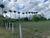 Terreno, 4 hectares - Foto 3