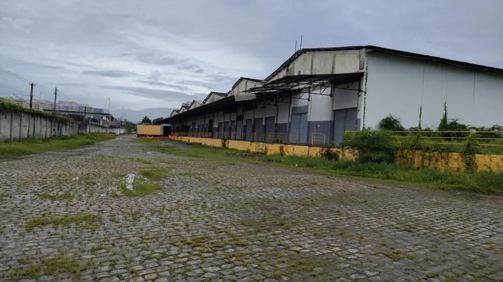 Depósito-Galpão, 5000 m² - Foto 3