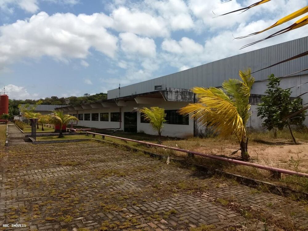 Depósito-Galpão, 10100 m² - Foto 4