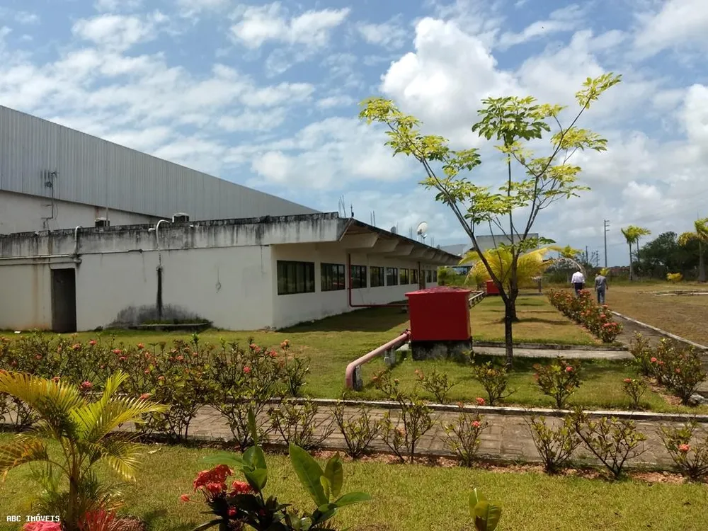 Depósito-Galpão, 10000 m² - Foto 11
