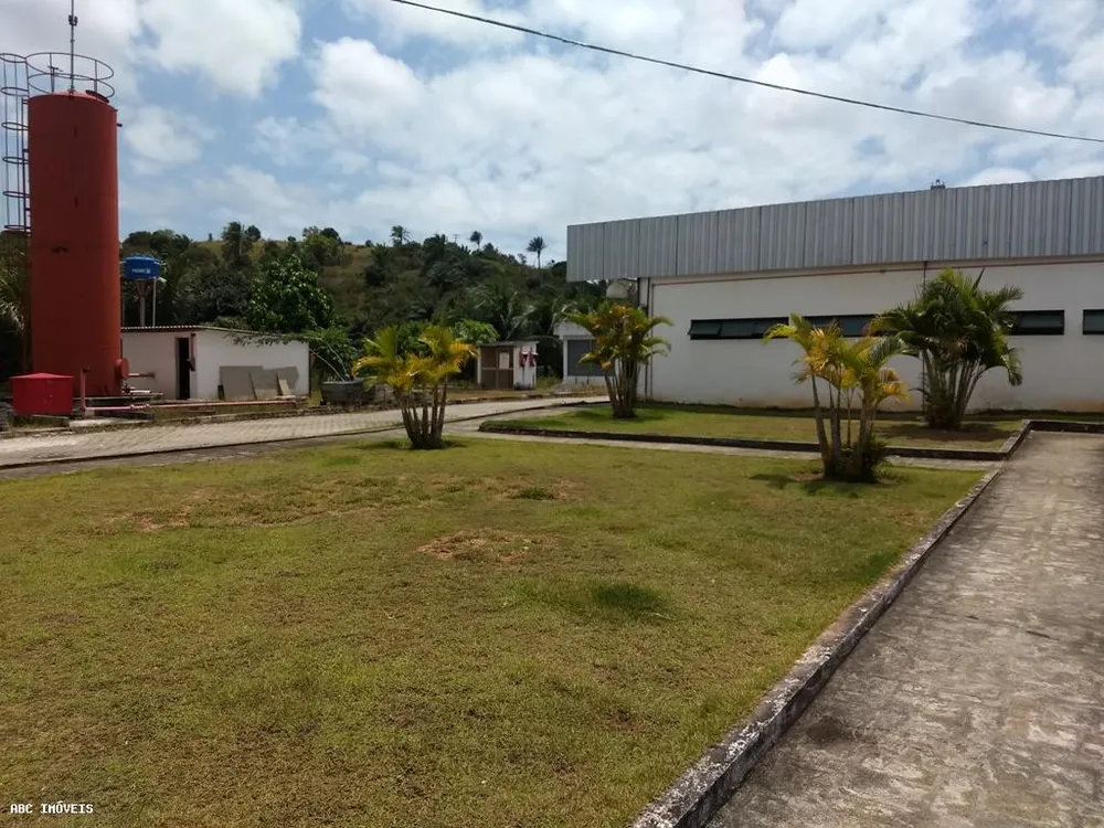 Depósito-Galpão, 10000 m² - Foto 10