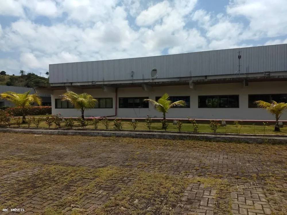 Depósito-Galpão, 10000 m² - Foto 6