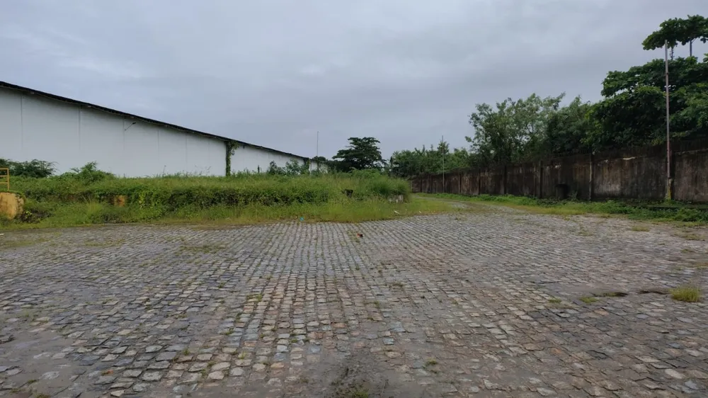 Depósito-Galpão, 10000 m² - Foto 11