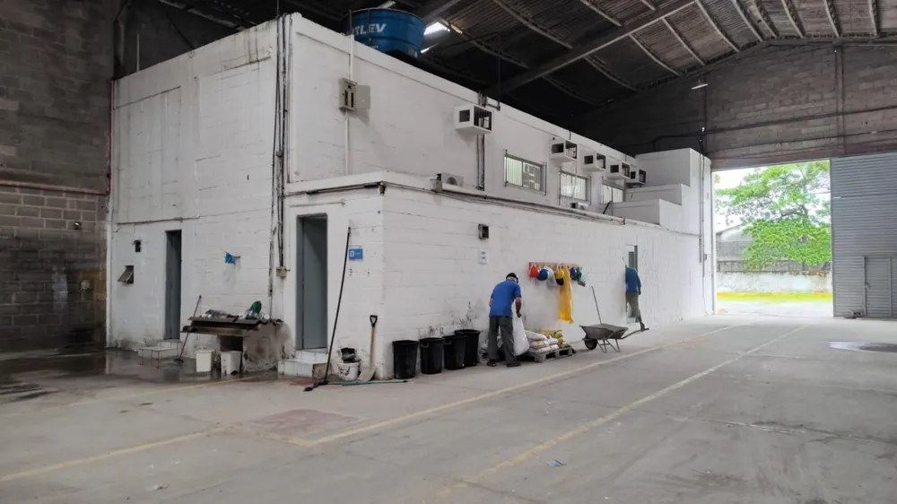 Depósito-Galpão, 10000 m² - Foto 6
