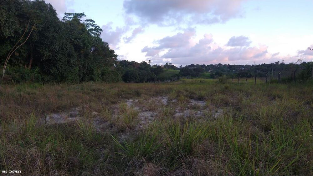Terreno, 15 hectares - Foto 3