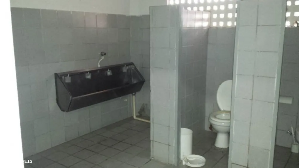 Depósito-Galpão, 8000 m² - Foto 11