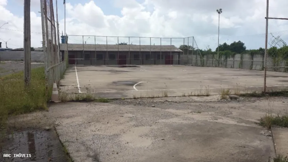 Depósito-Galpão, 8000 m² - Foto 3