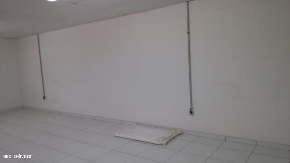 Depósito-Galpão, 3500 m² - Foto 4