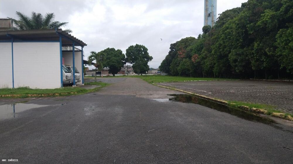 Depósito-Galpão, 3000 m² - Foto 3